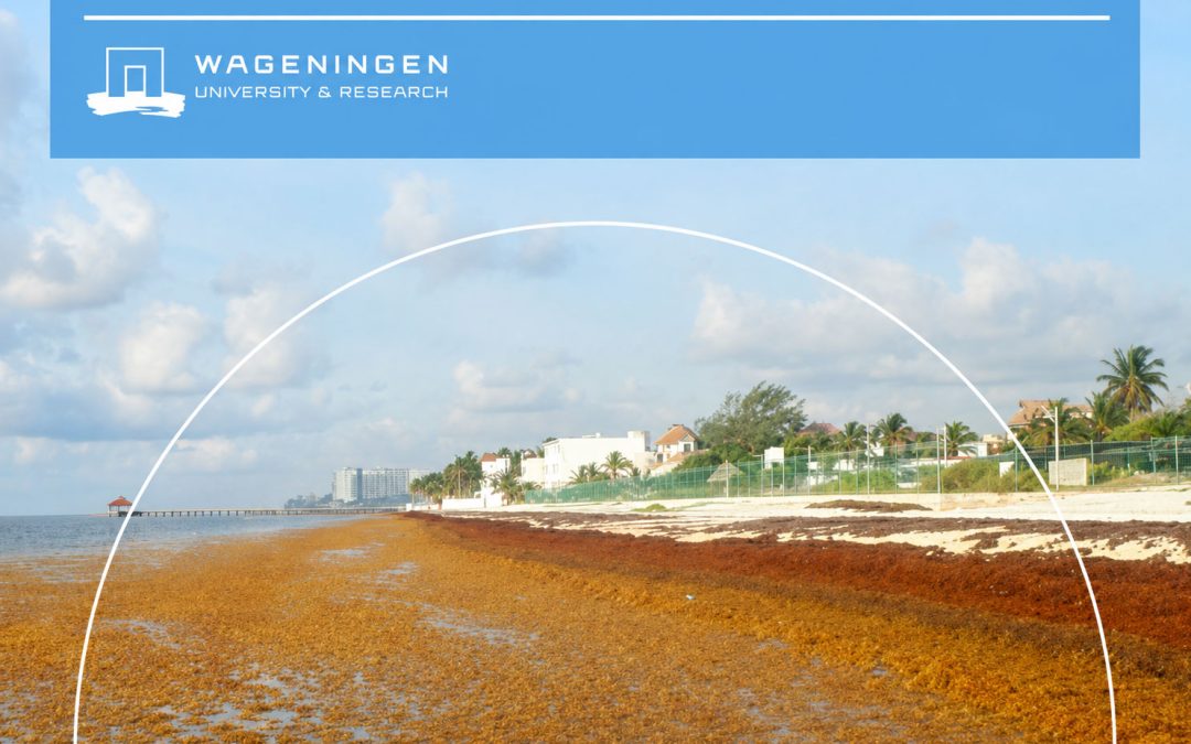 WUR Publishing: Final report Sargassum in Mexico